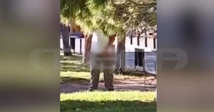 epidixias 1200x630.jpg