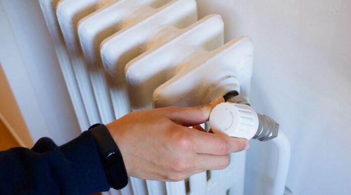 epidoma thermansis 1 3.jpg