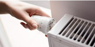 epidoma thermansis 1.jpg