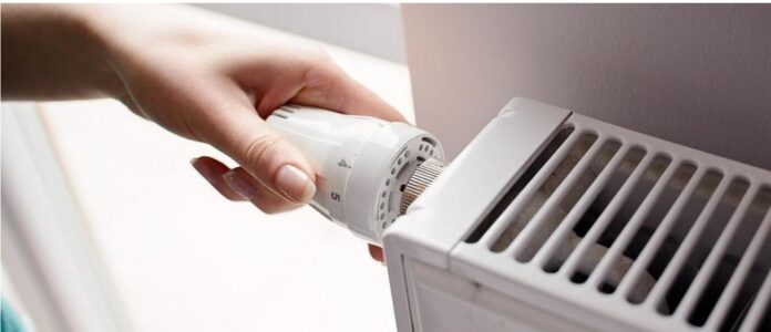 epidoma thermansis 1.jpg