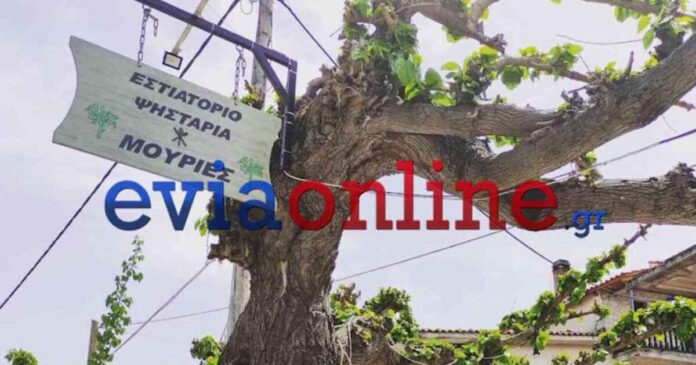 evoia taverna 10102025 1200x630.jpg evoia taverna 10102025 1200x630.jpg