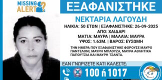 exafanisi 04102025 1200x630.jpg