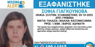 exafanisi 3 1200x630.jpg