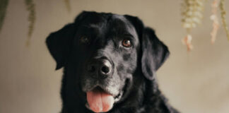 f9512a61fa8a24bb266b8f981cb7781a L.jpg