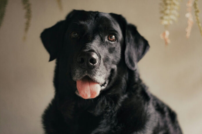 f9512a61fa8a24bb266b8f981cb7781a L.jpg