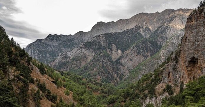 faraggi samarias 1200x630.jpg