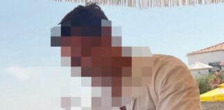 foinikouda 1 1200x630.jpg