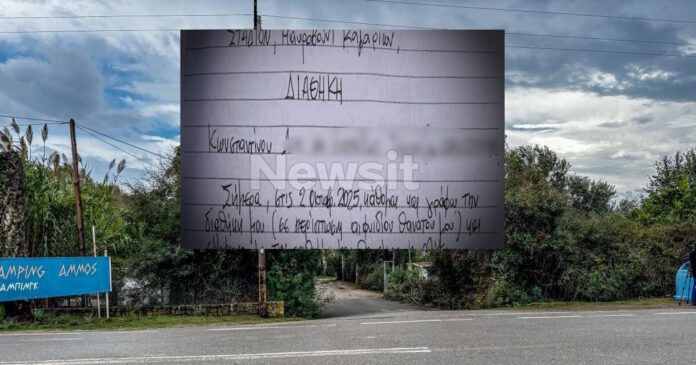 foinikounta camping1 1200x630.jpg