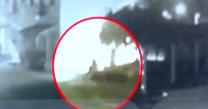 foinikounta drastis 1200x630.jpg