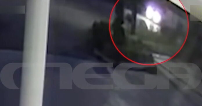 foinikounta1 1200x630.jpg foinikounta1 1200x630.jpg