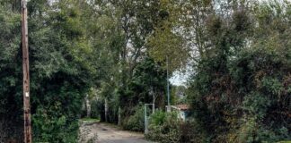 foinikountacamping 1200x630.jpg