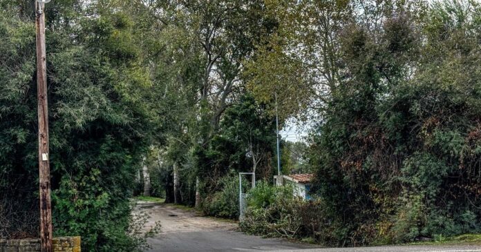 foinikountacamping 1200x630.jpg