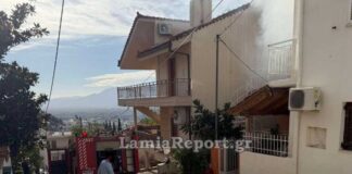 fwtia lamia 1 1200x630.jpg