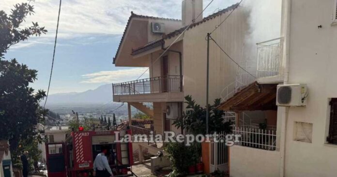 fwtia lamia 1 1200x630.jpg