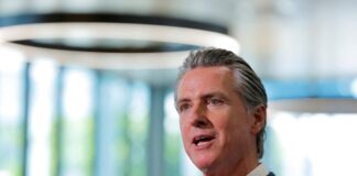 gavin niousom 1 1200x630.jpg