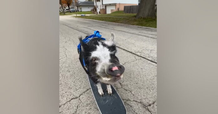 gourouni2 1200x630.jpg