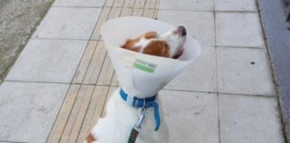 ilia skilaki 1200x630.jpg