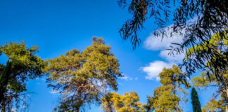 iliofaneia eurok 1200x630.jpg