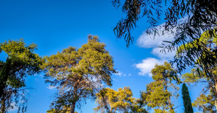 iliofaneia eurok 1200x630.jpg