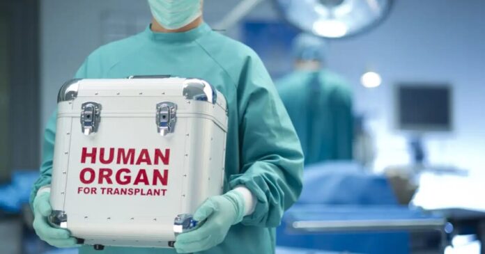 istock 160194832 1 1 1200x630.jpg