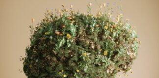 istock 2182091194 1200x630.jpg