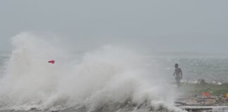 jamaica melissa 1 1200x630.jpg