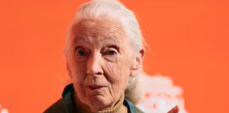 jane goodall reuters 1200x630.jpg