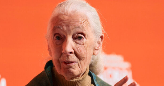 jane goodall reuters 1200x630.jpg