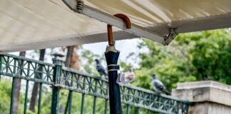 kairos 3 1200x630.jpg