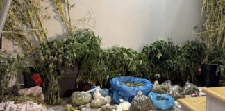 kannavi4 15102025 1200x630.jpg