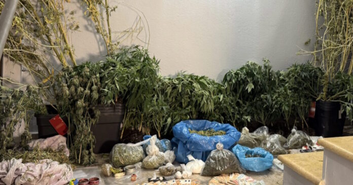 kannavi4 15102025 1200x630.jpg