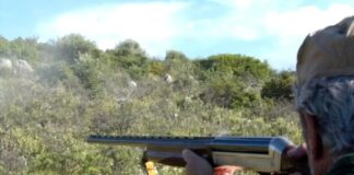 karampina 2 1 1200x675 1 1200x630.jpg