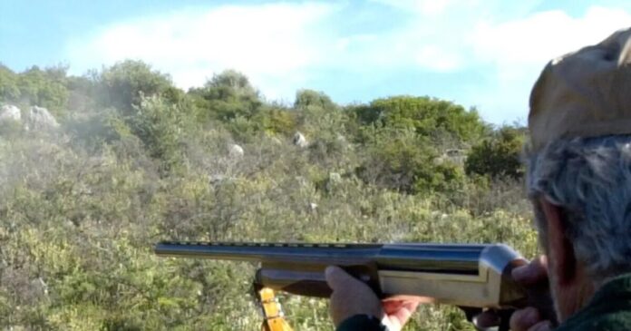 karampina 2 1 1200x675 1 1200x630.jpg karampina 2 1 1200x675 1 1200x630.jpg