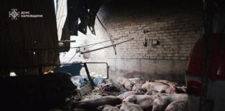 kharkiv1 03102025 1200x630.jpg