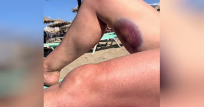 kriti xelwna 1200x630.jpg