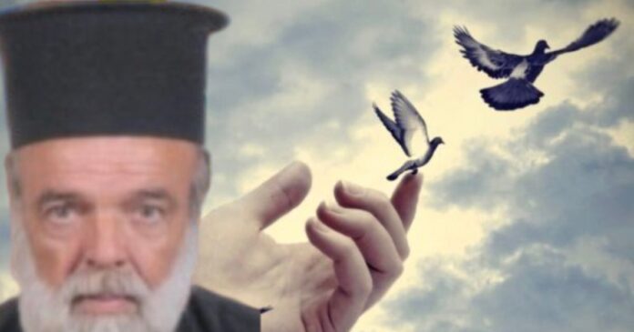 larisa papas 1200x630.jpg