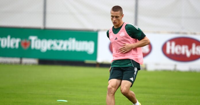 lavdas 1 1200x630.jpg