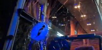 leoforeio 1 1200x630.jpg