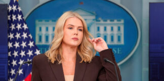 levitt r 1200x630.jpg