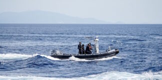 limeniko 1200x630.jpg