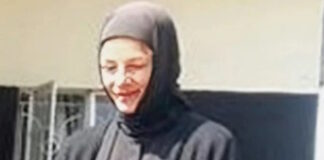 lionaki1 1200x630.jpg