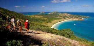 lizard island 1 1200x630.jpg