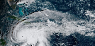 melissa reuters 1200x630.jpg