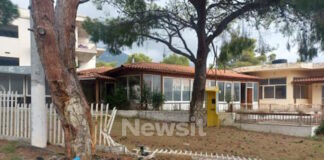 menidi troxaio 2 1200x630.jpg