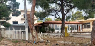 menidi troxaio 4 1200x630.jpg