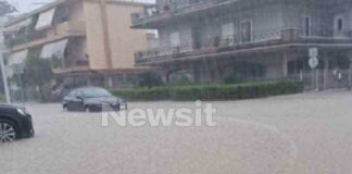 mesologgi exo 1200x630.jpg