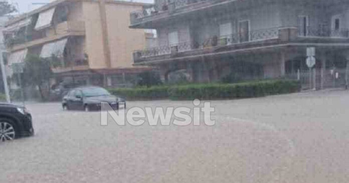 mesologgi exo 1200x630.jpg