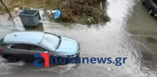 mesologgi2 1200x630.jpeg