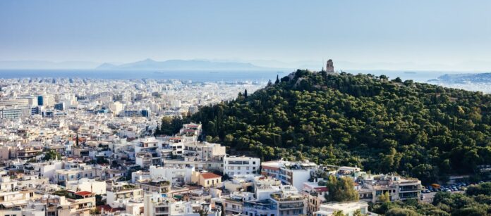 metabibaseis 1.jpg metabibaseis 1.jpg