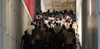 metanastes 1200x630.jpg